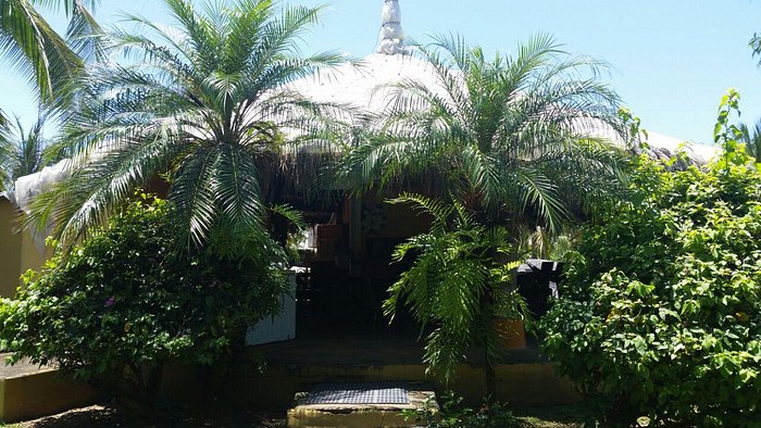 **Reseña: Refugio Tropical Las Lajas – Opiniones del Hospedaje y Restaurante**