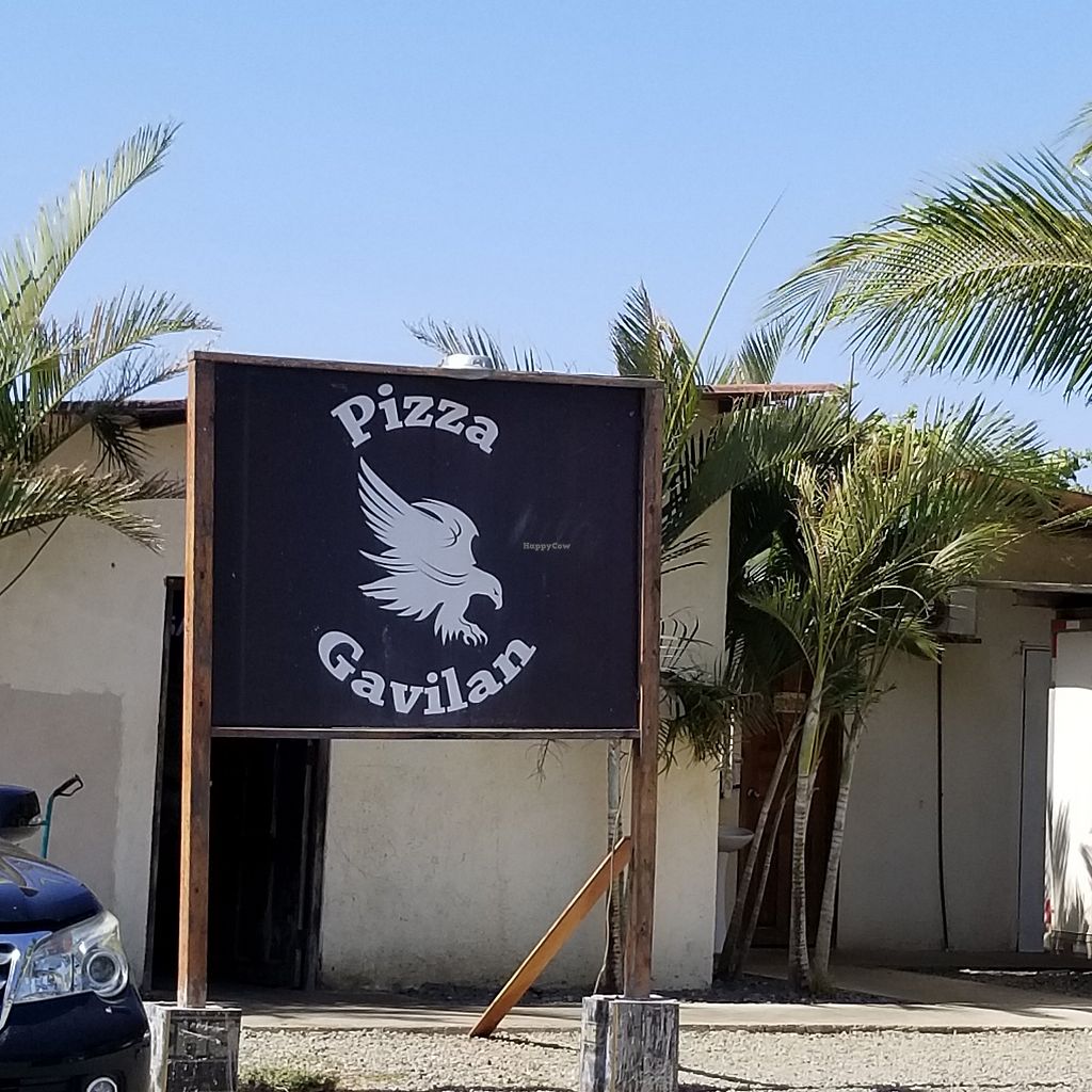Pizza Gavilán: Opinión y análisis completo de su sabor y calidad